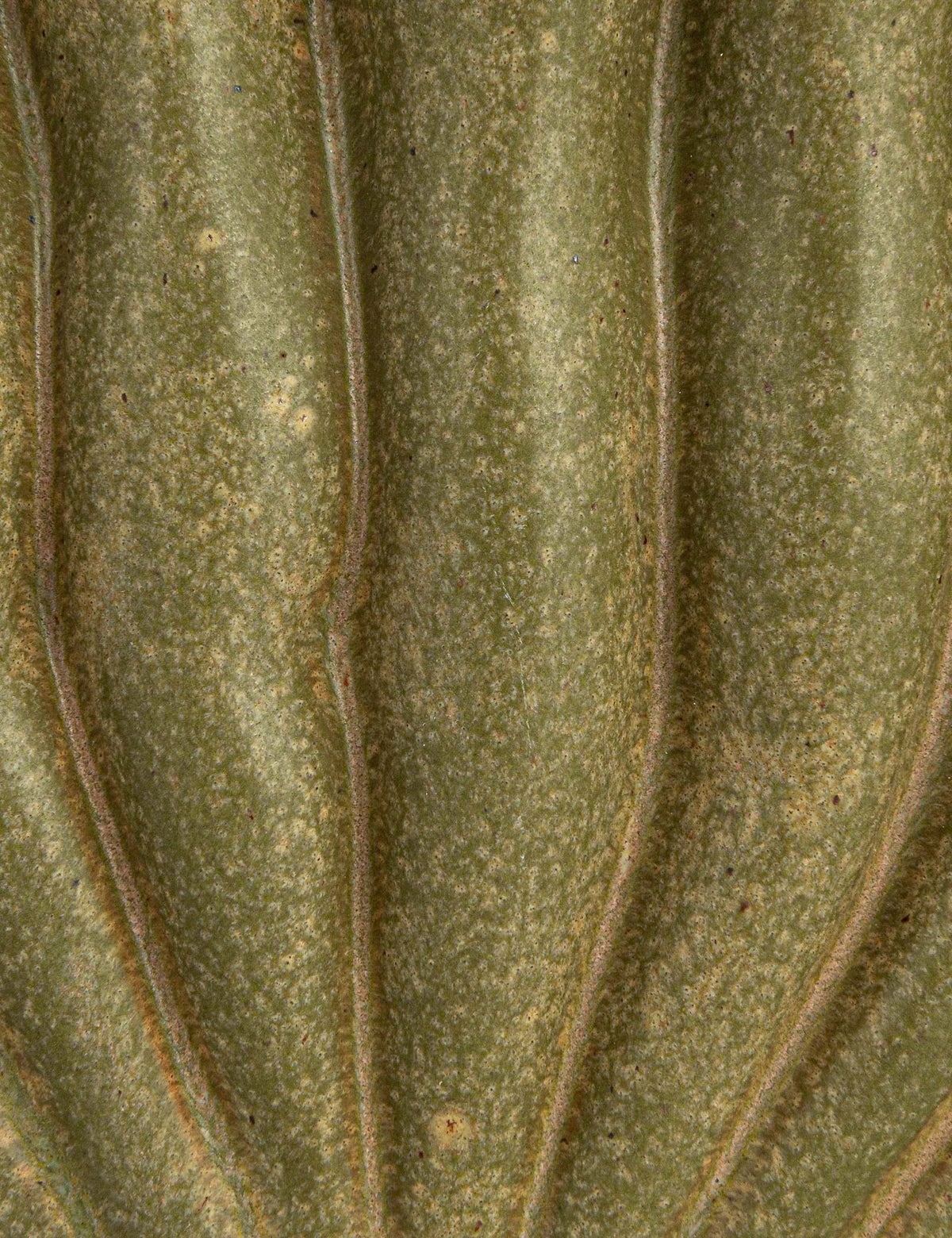 Maelis Vase