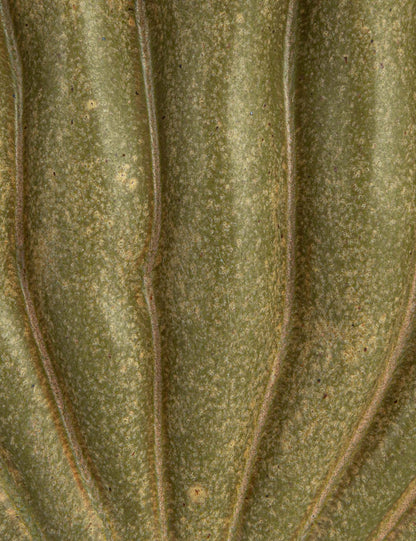 Maelis Vase