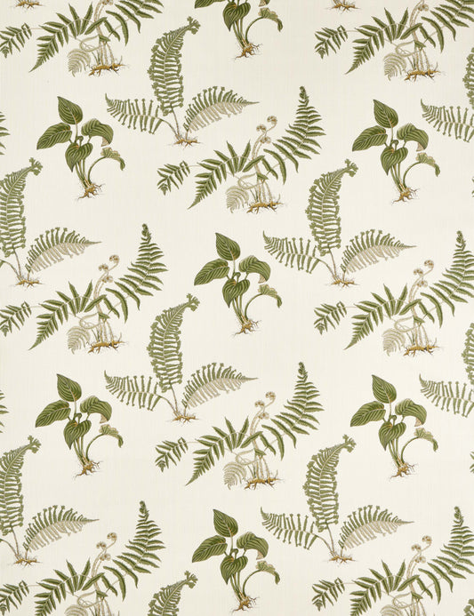 Hosta & Fern Fabric by Sanderson