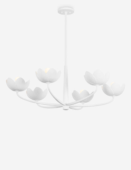 Mishal Chandelier
