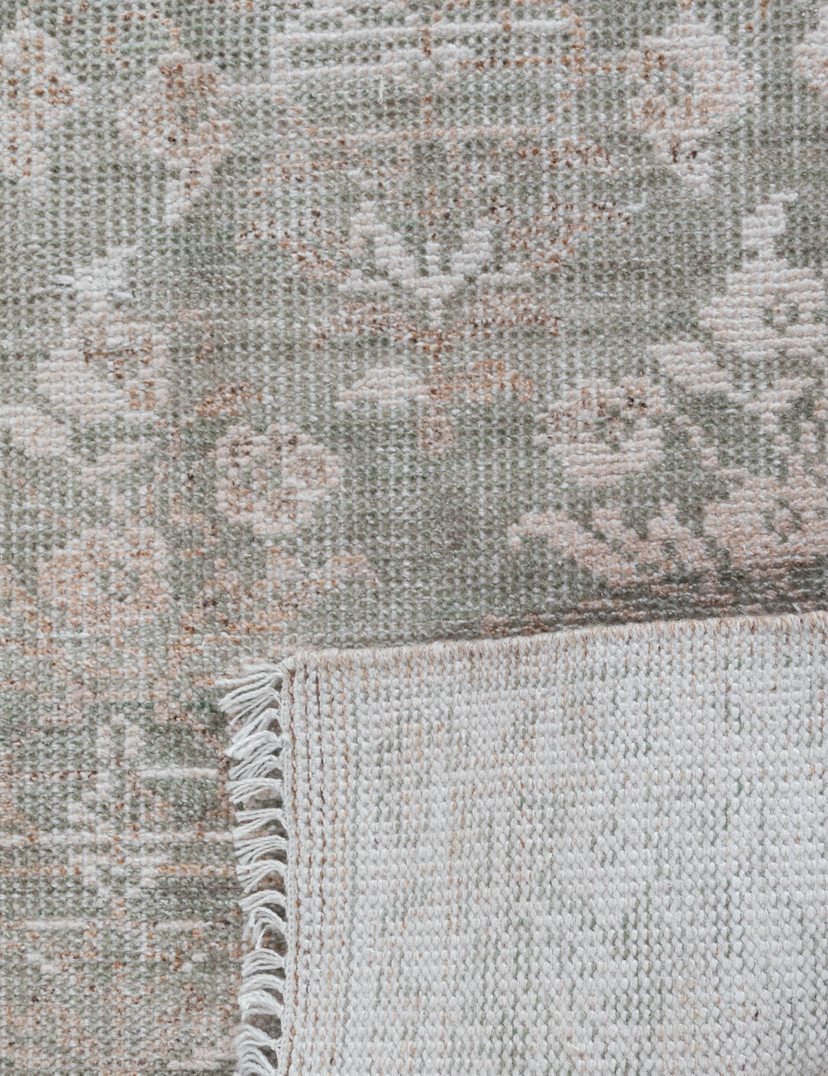 Leslie Hand-Knotted Indoor / Outdoor Rug
