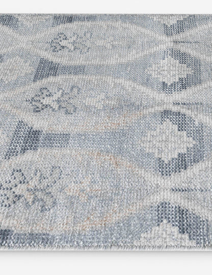 Carrillo Hand-Knotted Indoor / Outdoor Rug