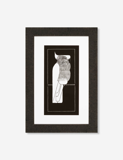 Crowned Cockatoo Print by Mesquita