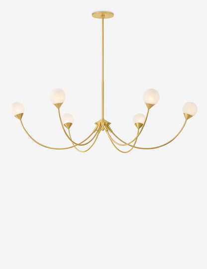 Jillian Chandelier