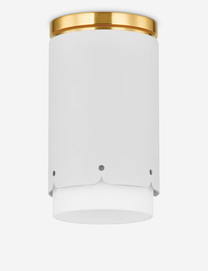 Trenet Flush Mount Light