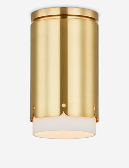 Trenet Flush Mount Light