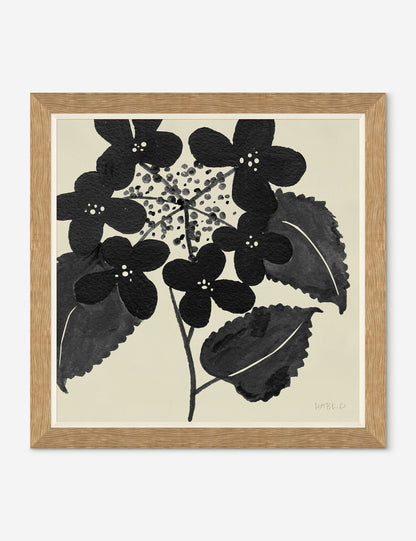 Hydrangea By Susan Hable