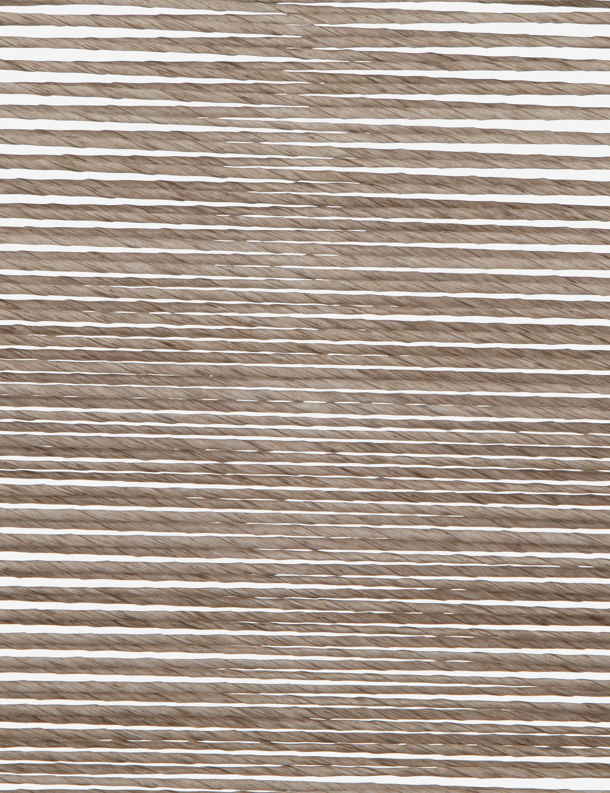 Wally Indoor / Outdoor Dining Chair