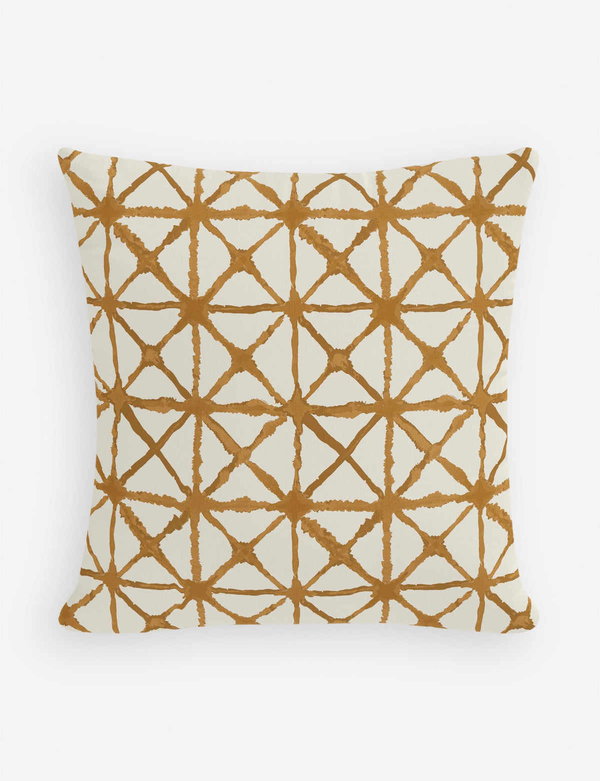 Azara Indoor / Outdoor Pillow