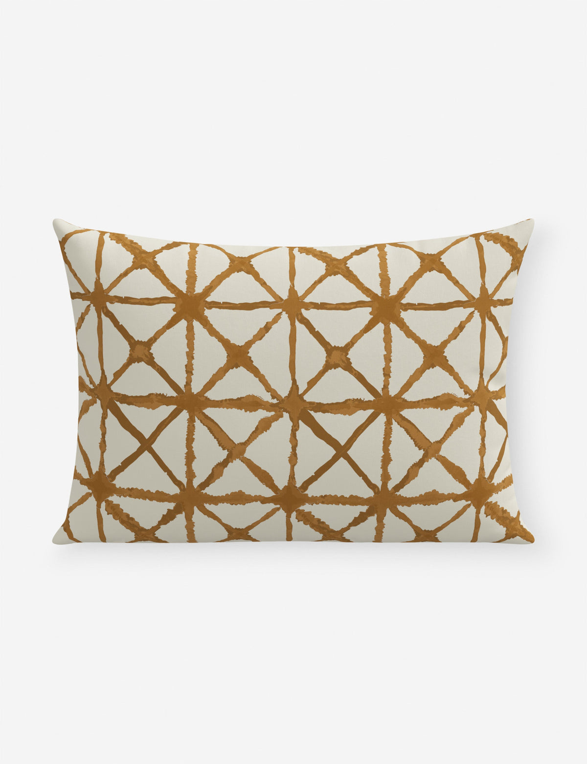 Azara Indoor / Outdoor Pillow