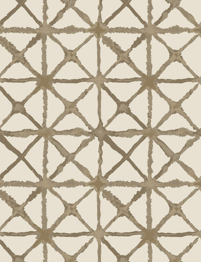 Azara Indoor / Outdoor Pillow