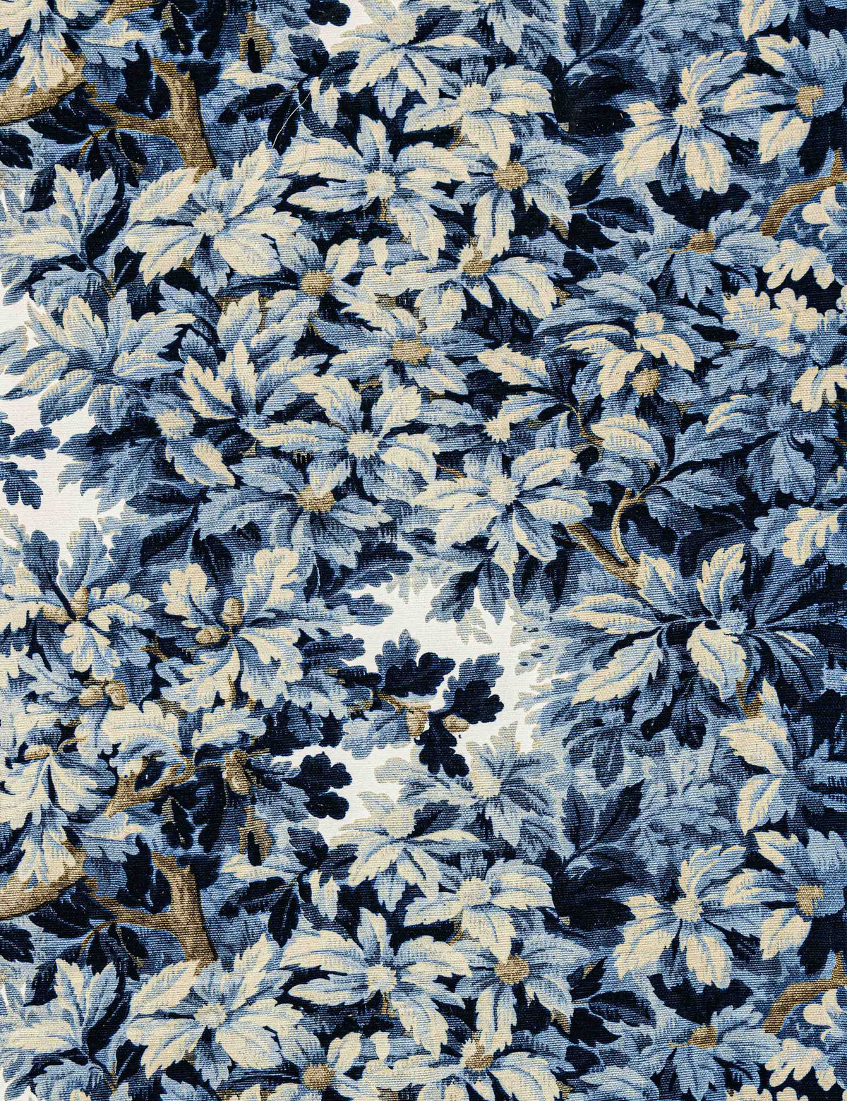 Bois de Chene Cotton Fabric by Scalamandré