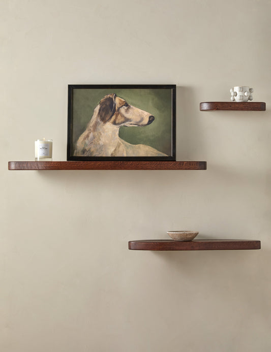 Nomi Shelf