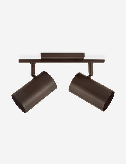 Newcomb Adjustable Vanity Light