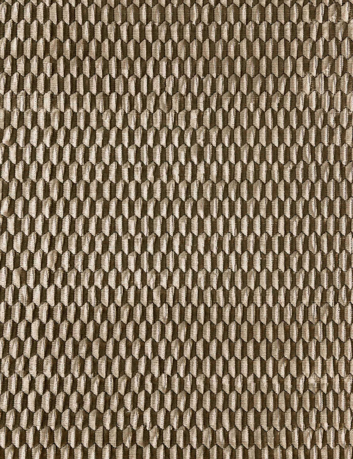 Allegra Velvet Fabric by Scalamandre