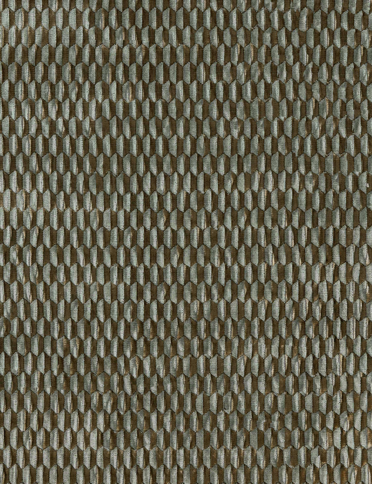 Allegra Velvet Fabric by Scalamandre