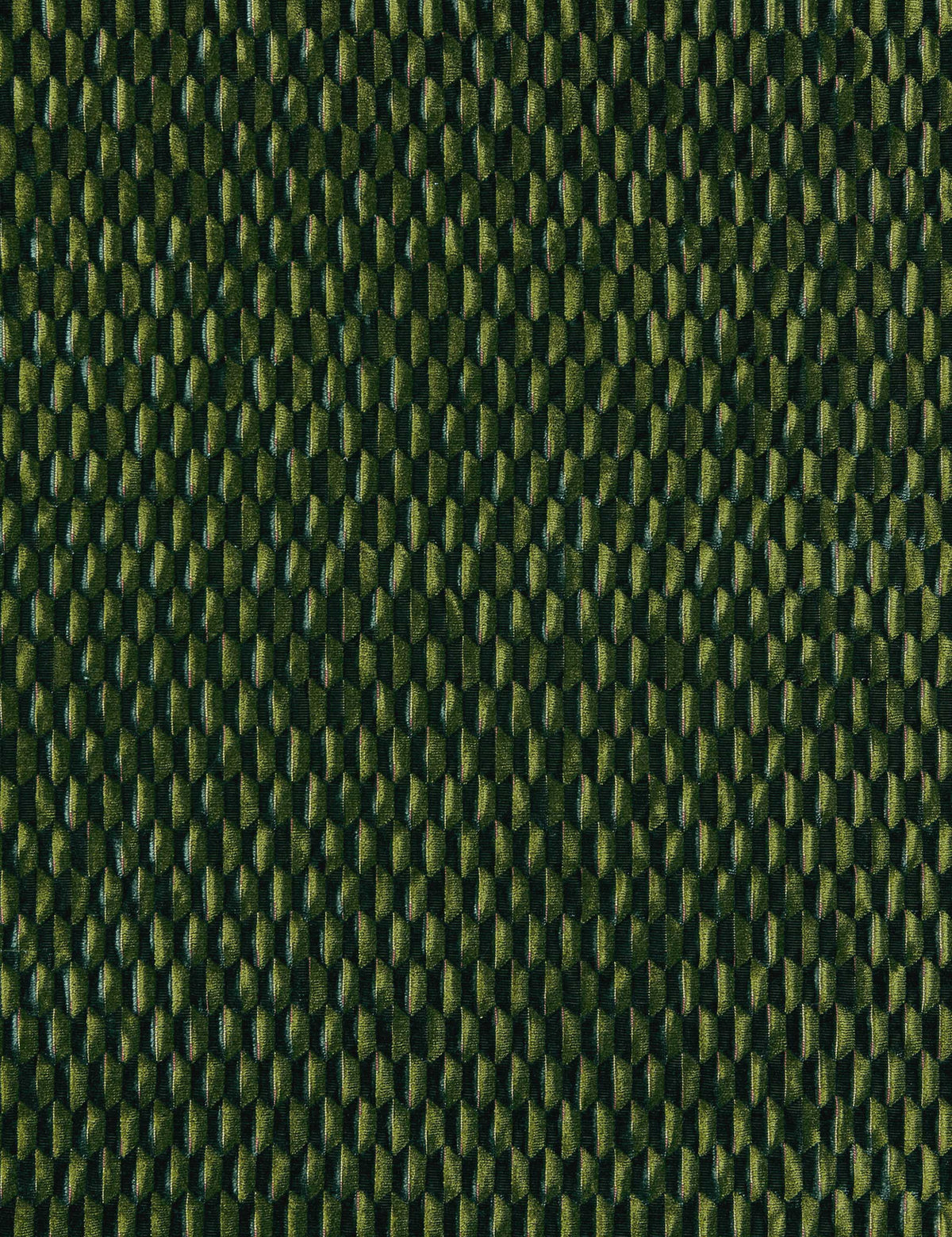 Allegra Velvet Fabric by Scalamandre