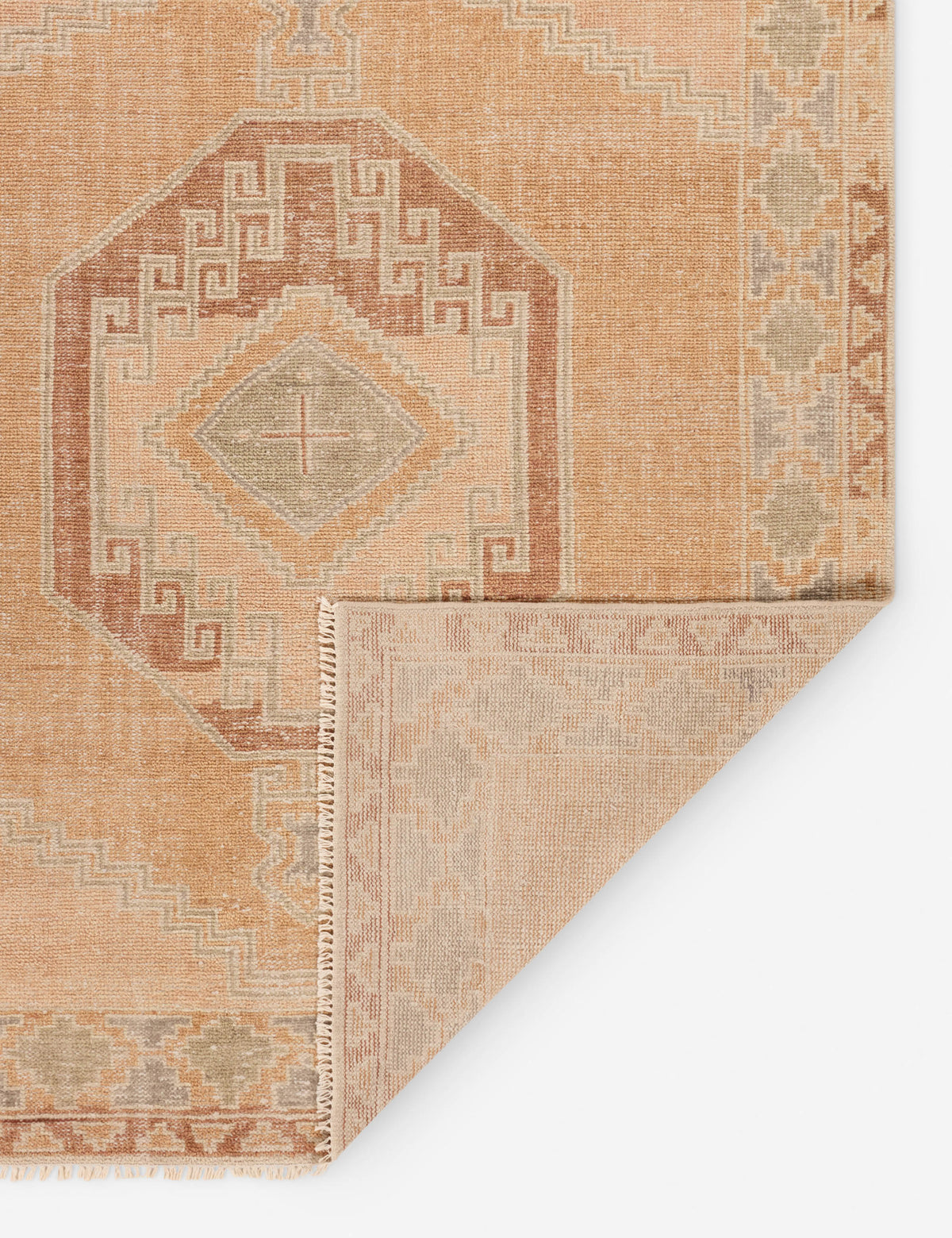Ambretta Hand-Knotted Wool Rug