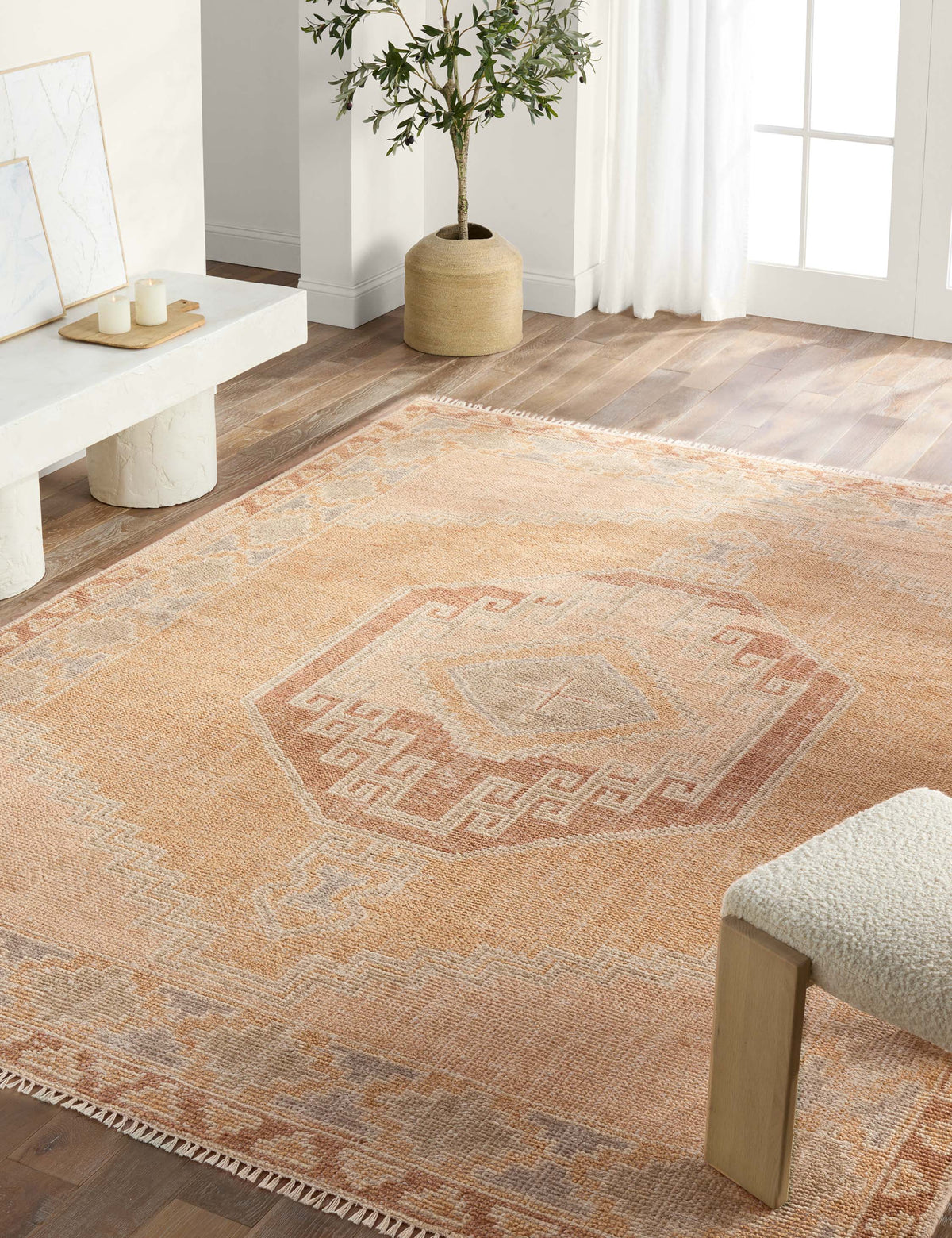 Ambretta Hand-Knotted Wool Rug