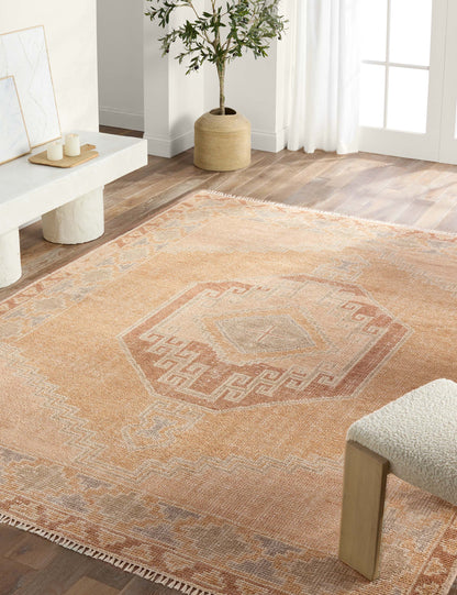 Ambretta Hand-Knotted Wool Rug