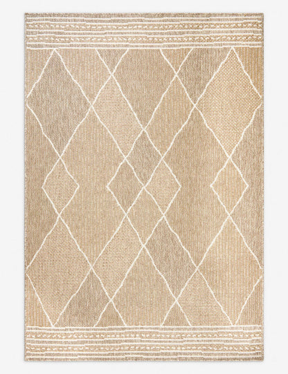 Faiyaz Indoor / Outdoor Rug