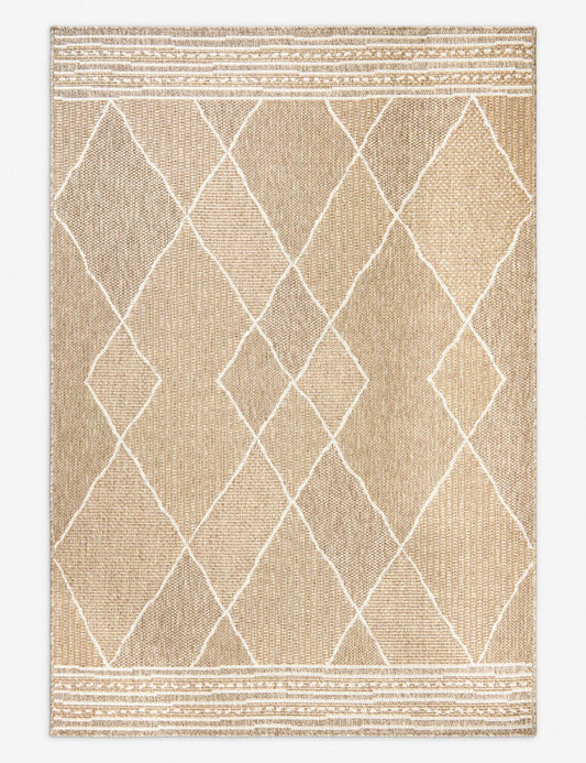 Faiyaz Indoor / Outdoor Rug