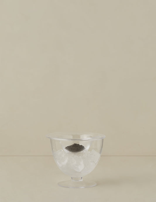 Serve Caviar Set by LSA International