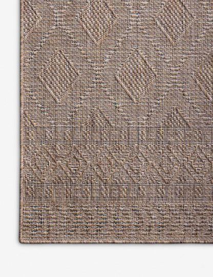Topanga II Indoor / Outdoor Rug by Amber Lewis x Loloi