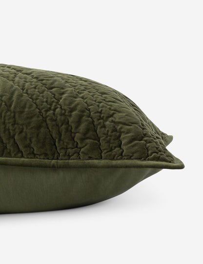 Maya Cotton Velvet Sham
