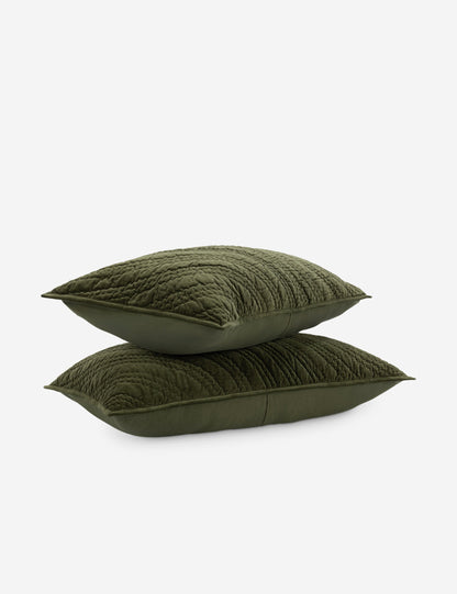 Maya Cotton Velvet Sham
