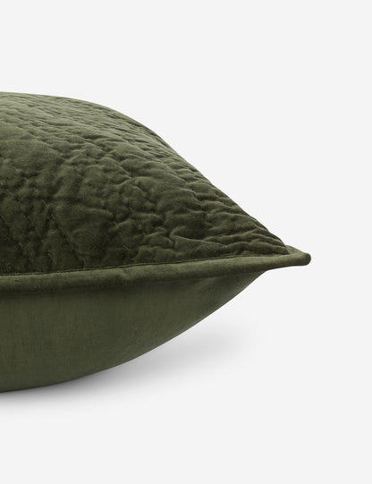 Maya Cotton Velvet Sham