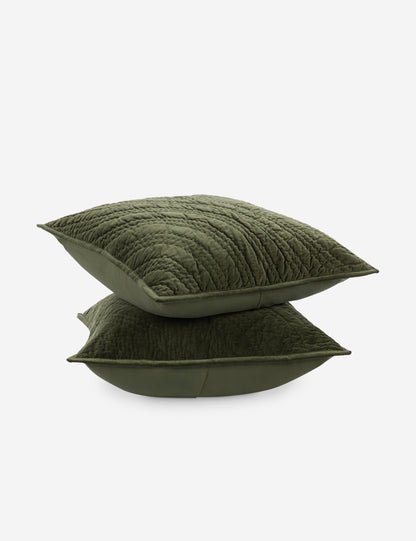 Maya Cotton Velvet Sham