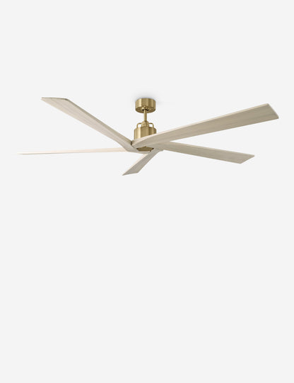 Llorente Ceiling Fan