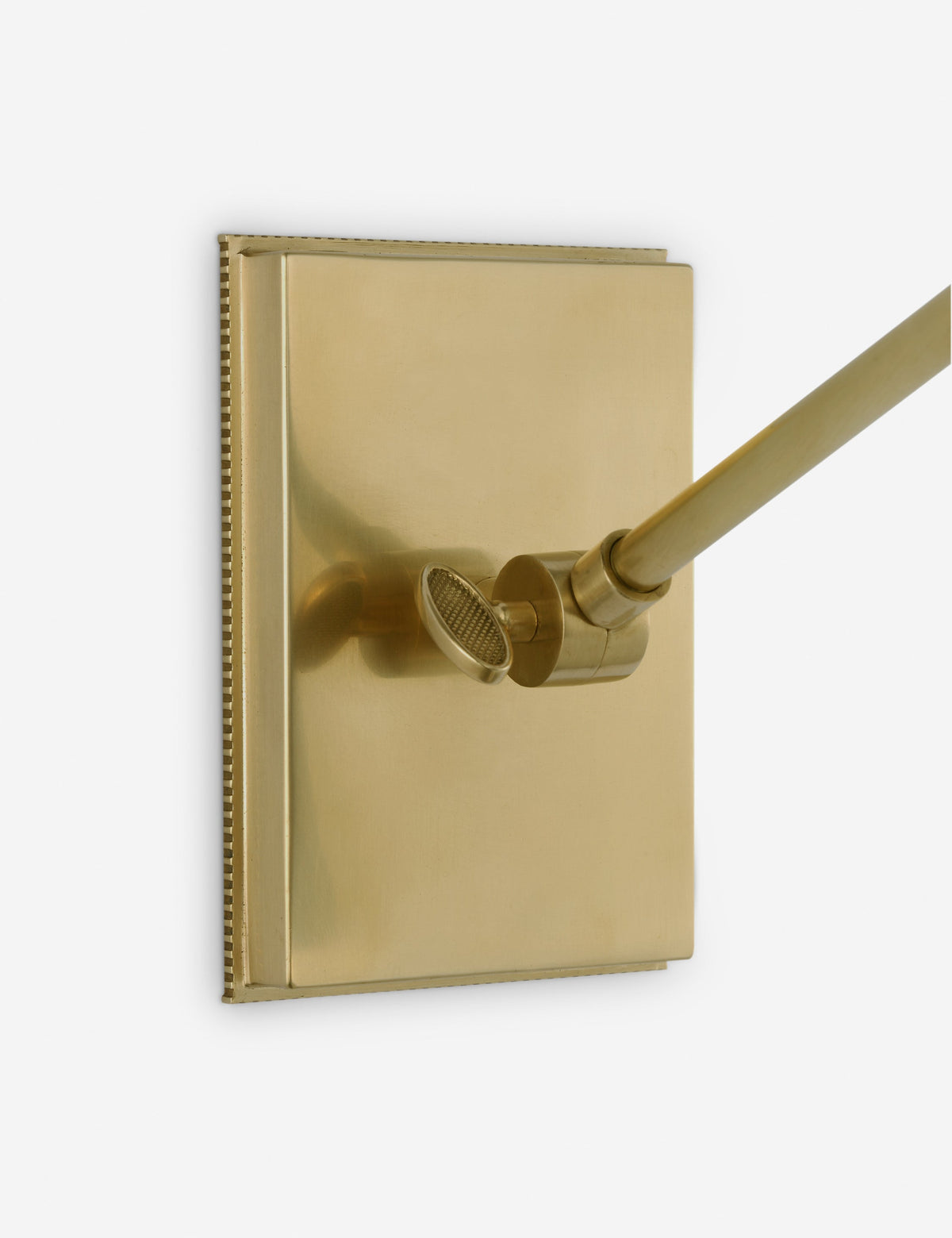 Talitha Articulating Sconce