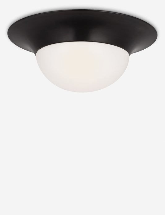 Seeger Flush Mount Light
