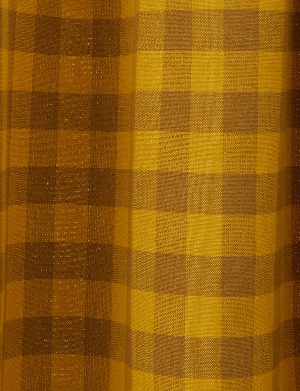 Gingham Shower Curtain by Hawkins New York