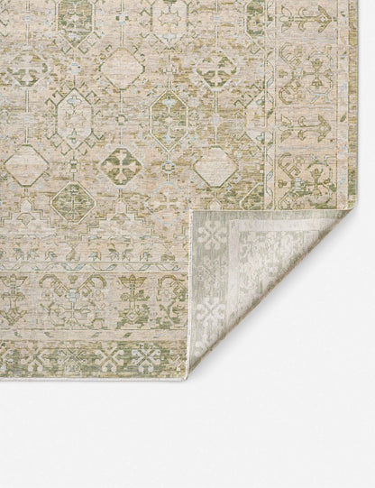 Thornton Hand-Knotted Wool Rug