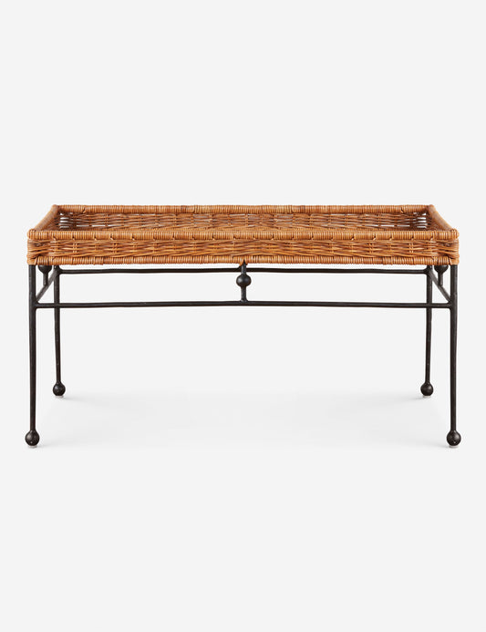 Bonnet Indoor / Outdoor Coffee Table