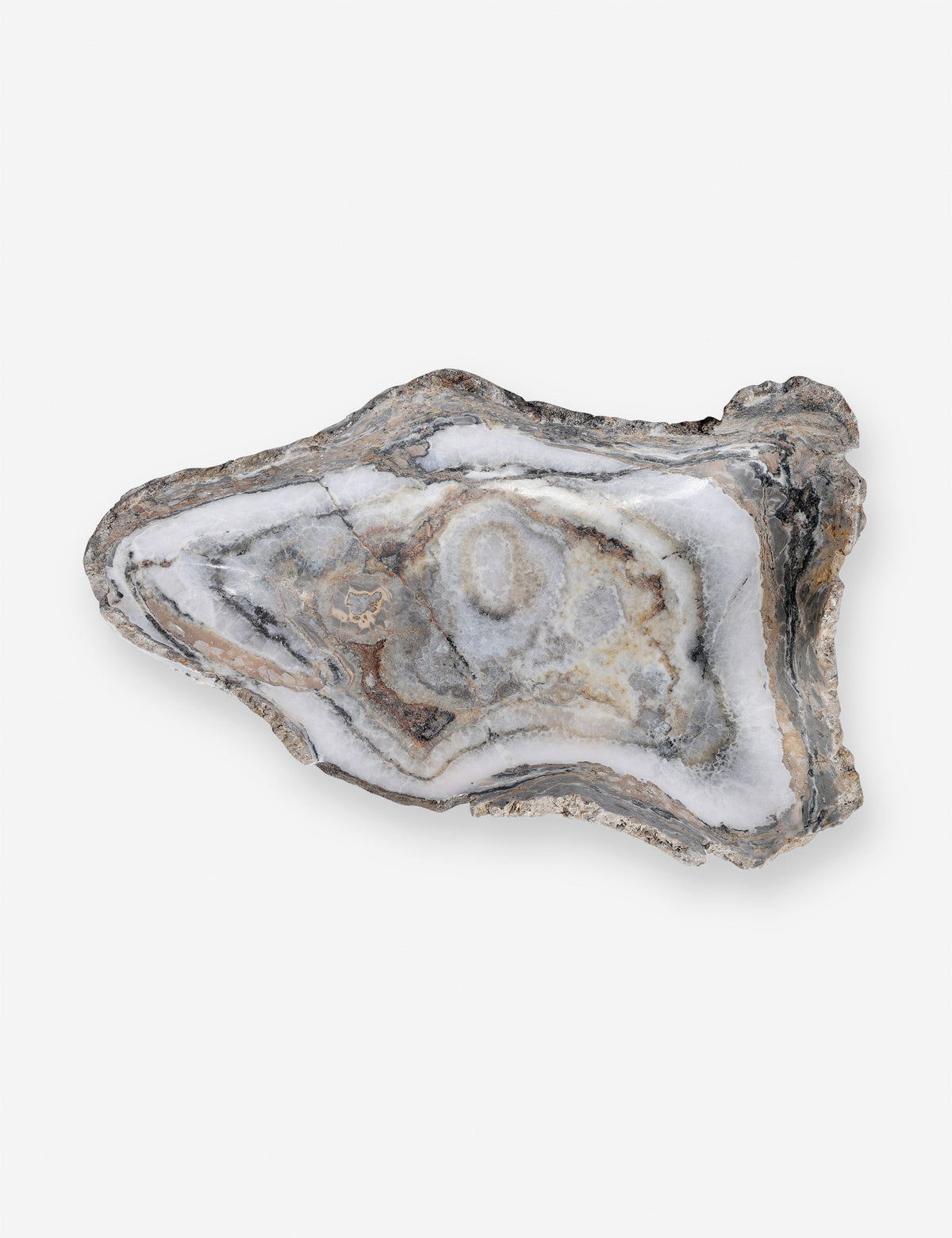 Noki Petrified Wood Bowl