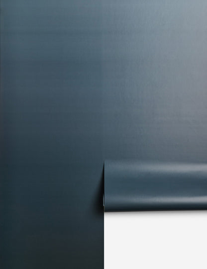 Meeting with the Sky Wallpaper Mural by James Perkins
