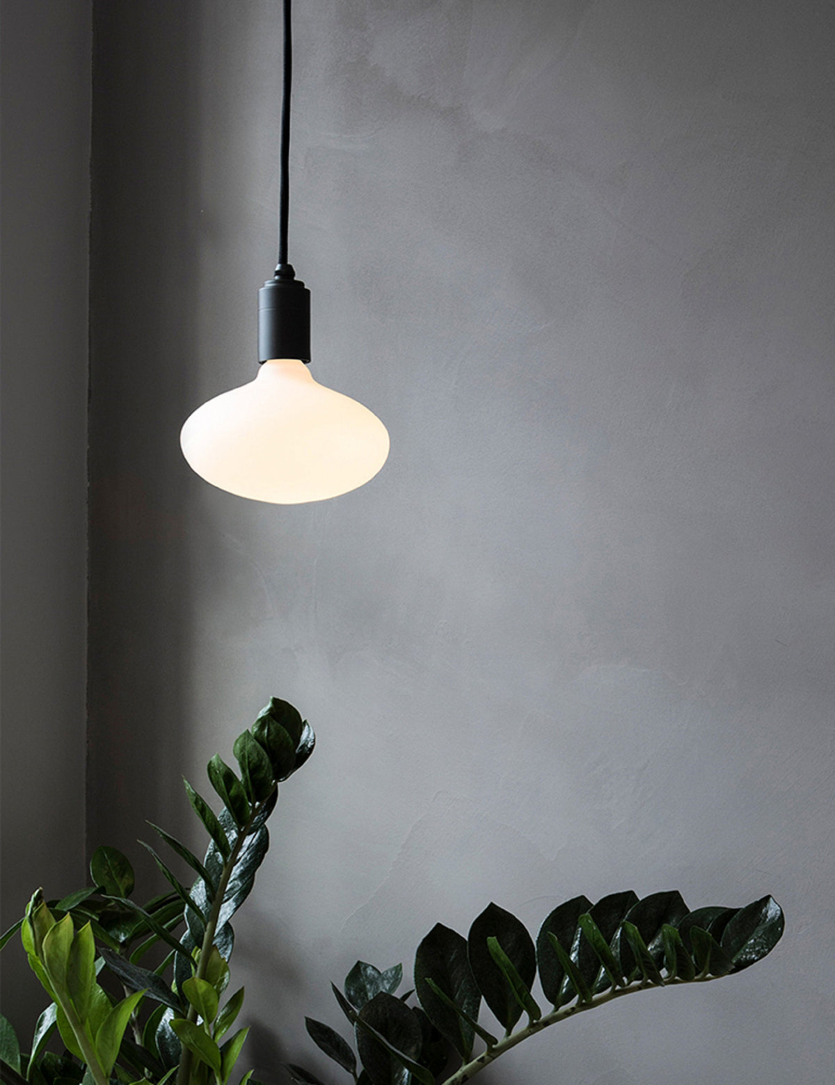 Oval 6W LED Bulb by Tala