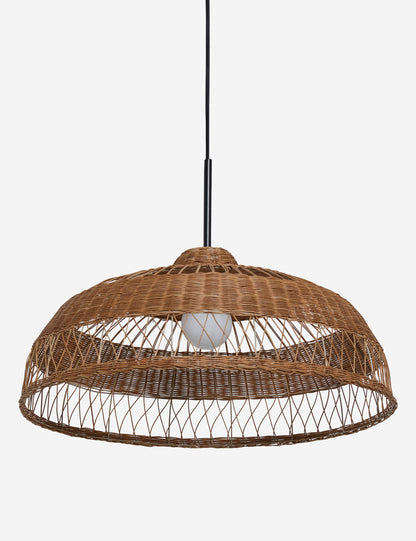 Ochoa Pendant Light