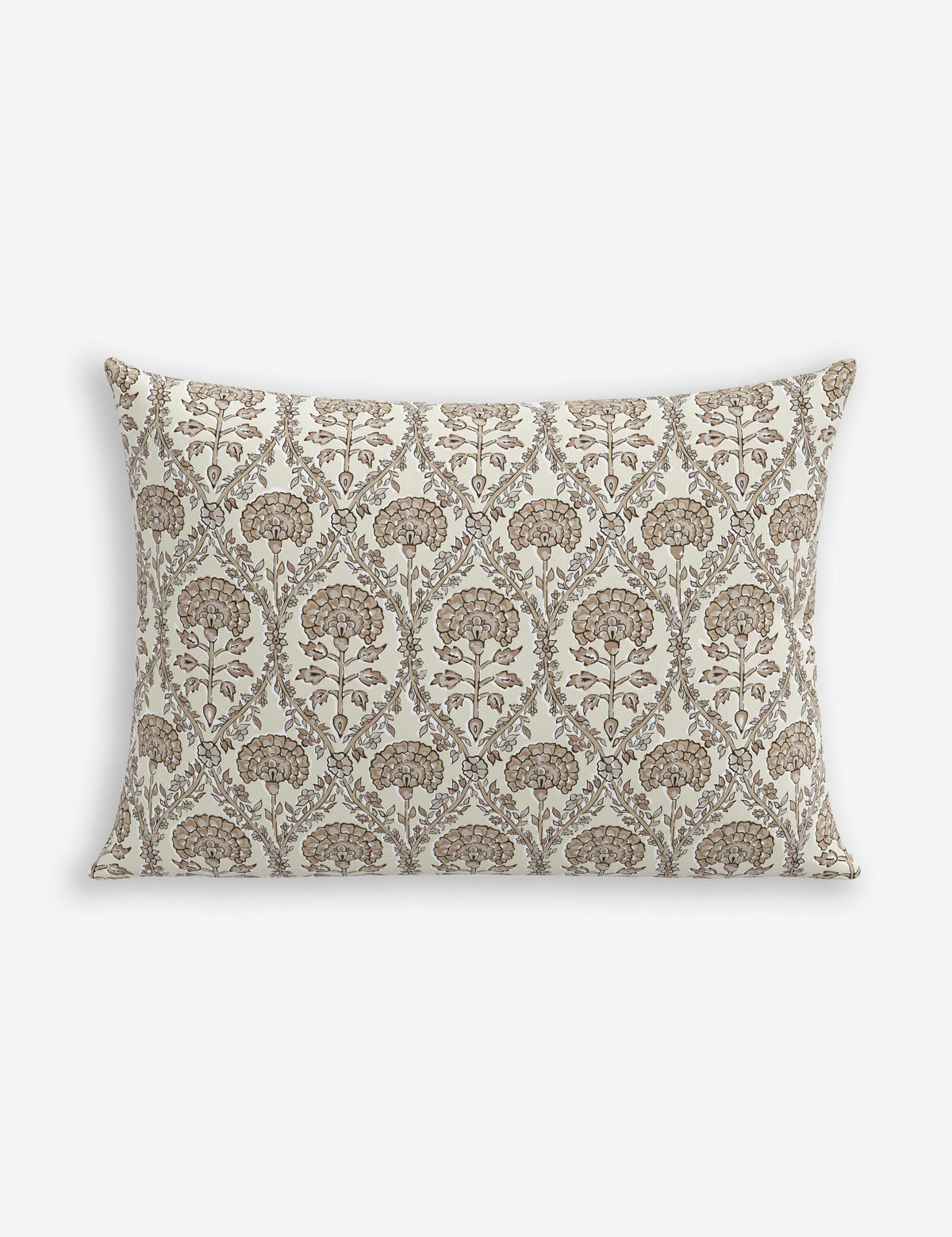 Barrera Indoor / Outdoor Pillow