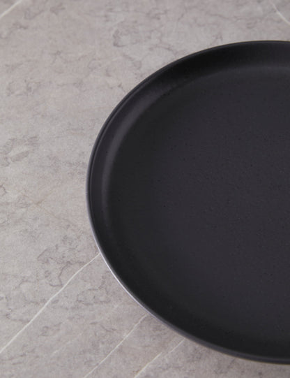 Pacifica Stoneware Dinnerware by Casafina