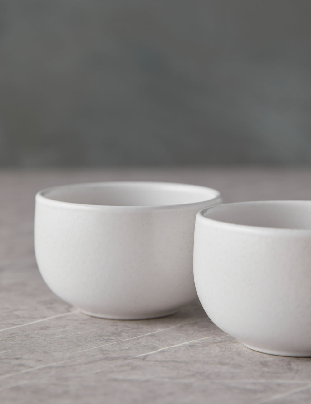 Pacifica Ramekins (Set of 6) by Casafina