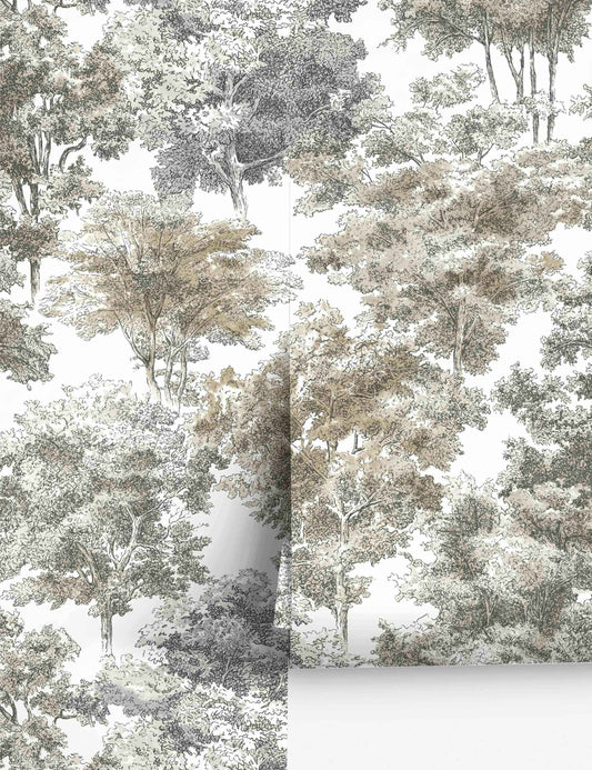 Old World Trees Peel + Stick Wallpaper