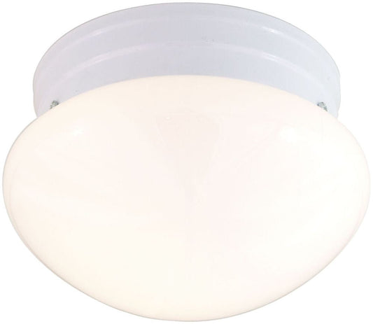 2 Light - 10" Flush with White Glass - White Finish