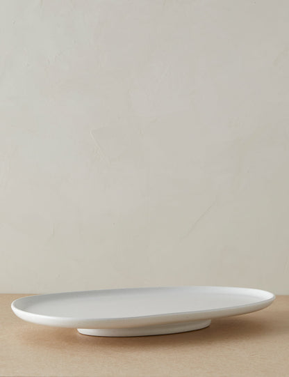 Shapeshifter Platter by Sarah Sherman Samuel