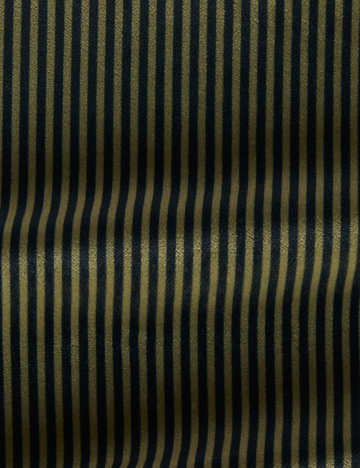 Striped Velvet Fabric by Sarah Sherman Samuel