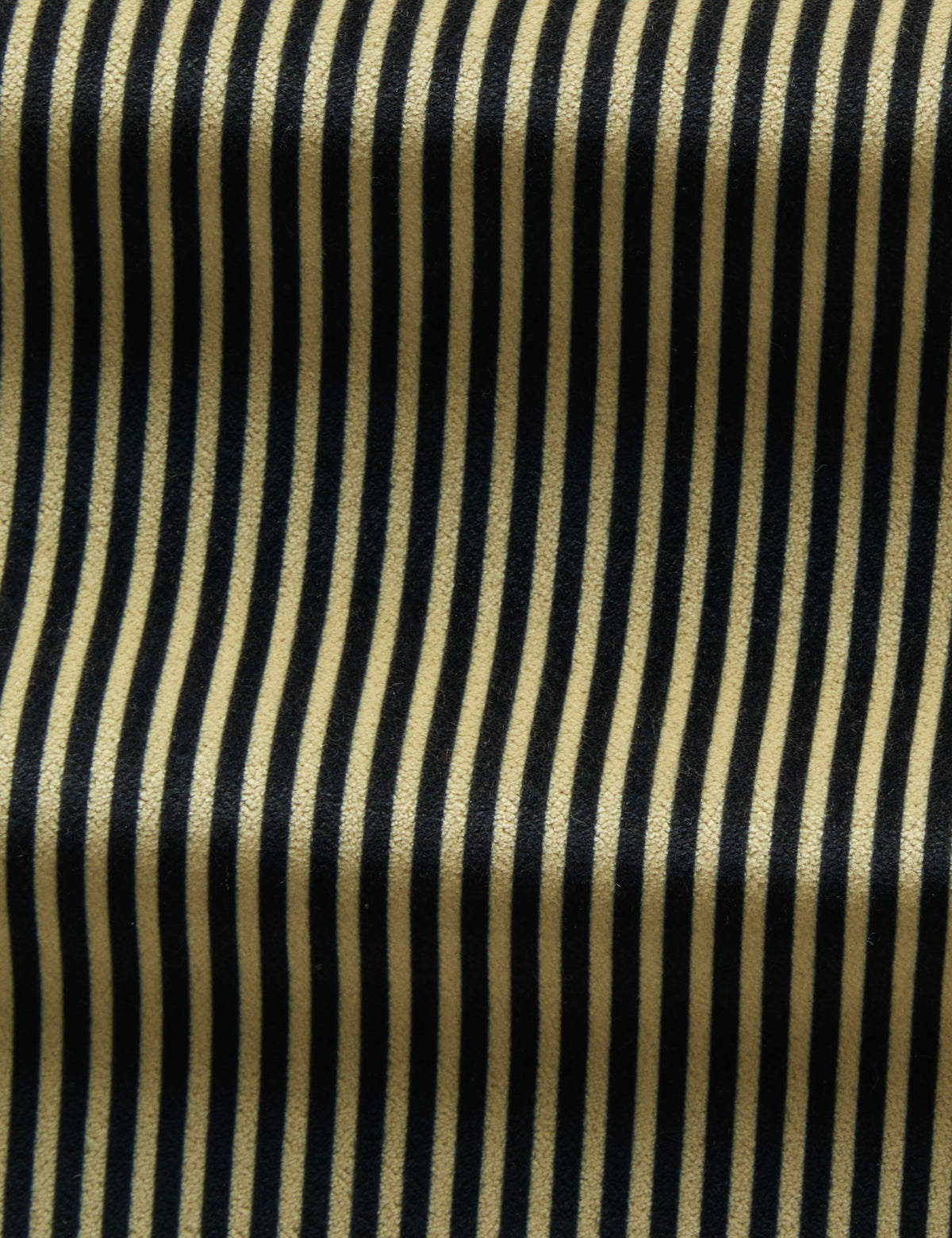 Striped Velvet Fabric by Sarah Sherman Samuel